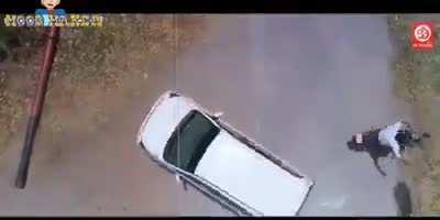 [Movie Title Request] - Anybody know what movie this is from? I need to watch it.