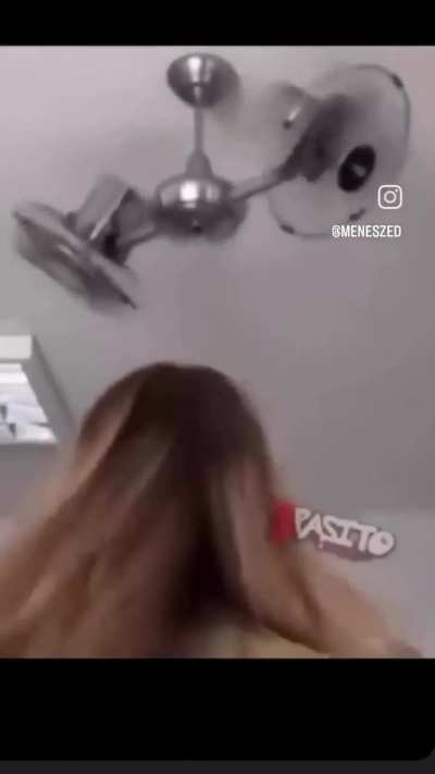 Así se ve el futuro