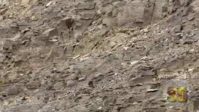 Olha o pinto caindo!