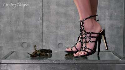 Straight To heaven 🦐