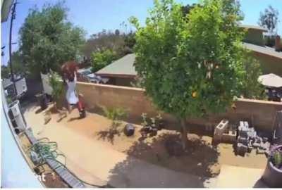 Not too many things can stop a hungry bear.