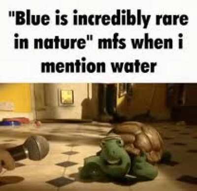 They'll be so mad when they learn about traffic signs