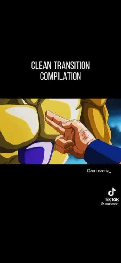 Clean Transition Compilation (edit by not me)