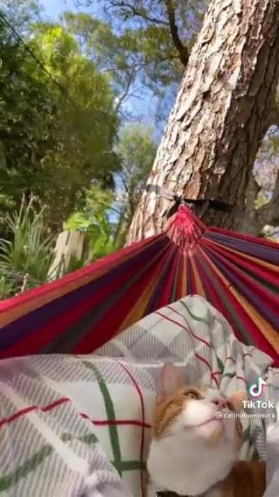 vibing in the hammock!