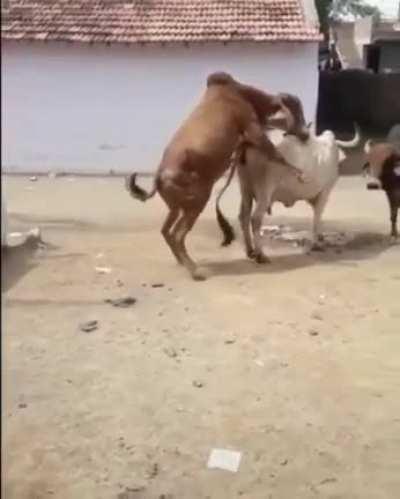 No action was had that fateful day