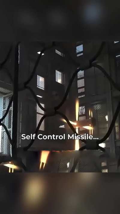 Autonomous Missile Thruster Test Looks Unreal