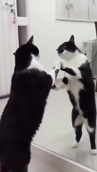 They know more than you think