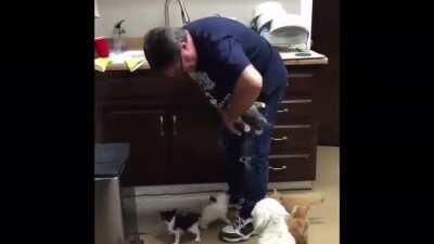 This was during one of the kitten seasons