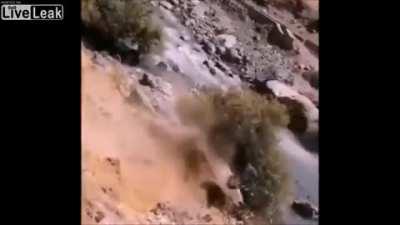 People form a human chain and save a man from a car wreck