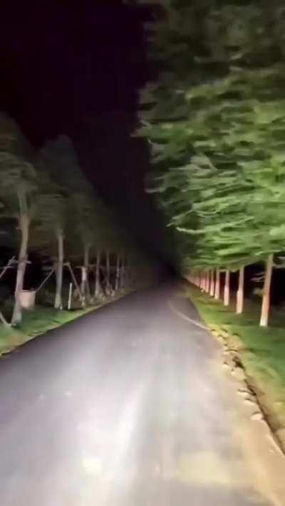 would you drive through this?