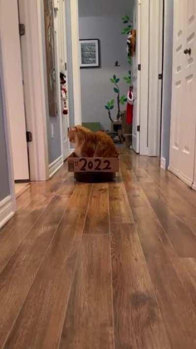 Out with the old. In with the mew.