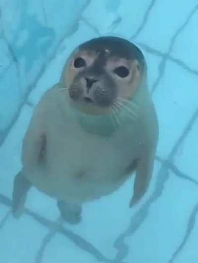 A cute little smooch!