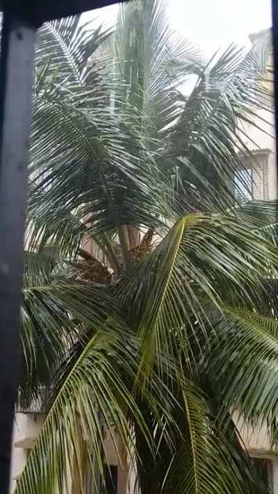 The heavy rains of Mumbai's monsoon season..