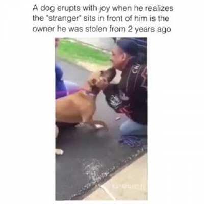 The dog is scared of this stranger at first. Until he realizes it’s the human he was stolen from two years ago