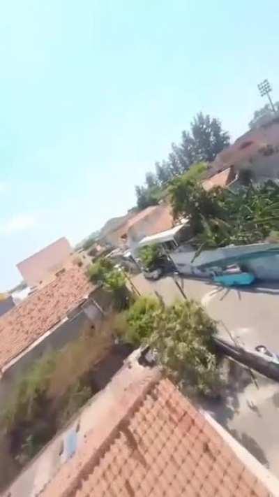 Como é ver como um pássaro?