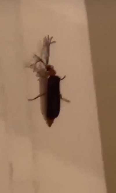 in the club muncAAÜ-