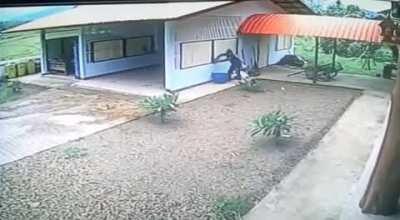 O ladrão mais burro do mundo