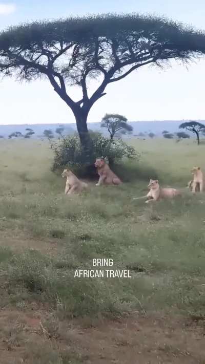 Oops, wrong neighborhood