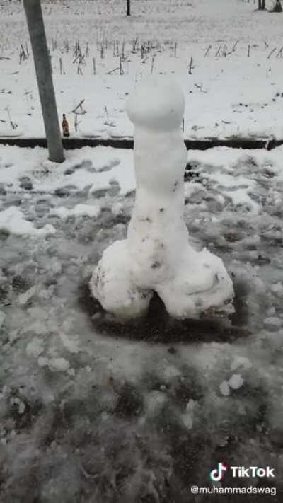 Pene di neve pene di neve