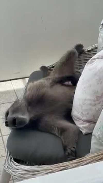 Welcome to Cape Town 😂😅😂🤣