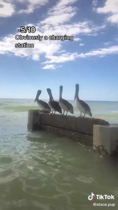 Tiktoker spots several gov. Drones at the beach.. must be prototypes