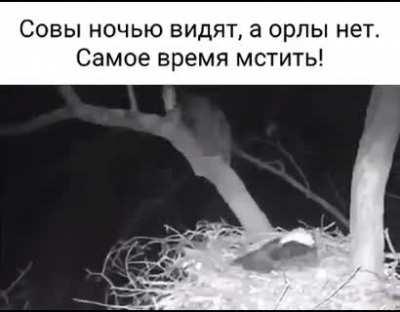 Привет, мудила.