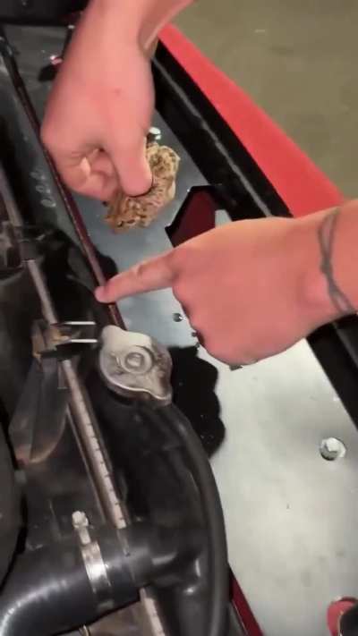 bro is learning to be a mechanic