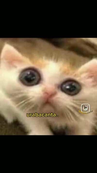 Kakakajjajaiqknwnakqkakkakjs