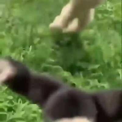 Yumi and Lu Tian when they see each other again