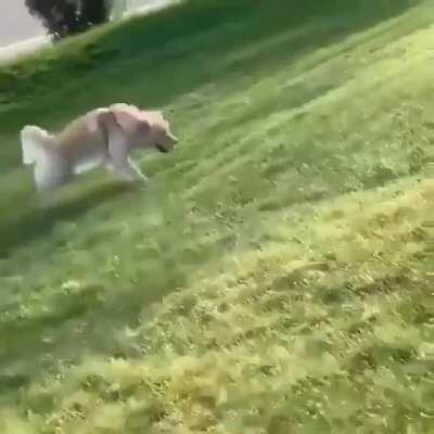 Derpy boy sliding