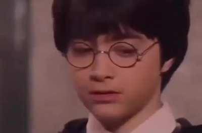 If Harry Potter was made in India