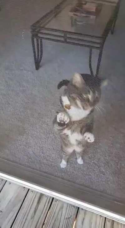 Told her twice to stop stepping over the railing on the balcony. She didn't listen and is now VERY upset with me.