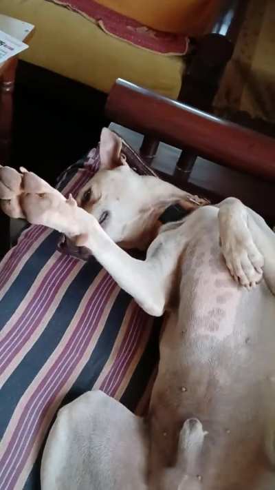 Statue of liberty? Talk to my hand? What is it?