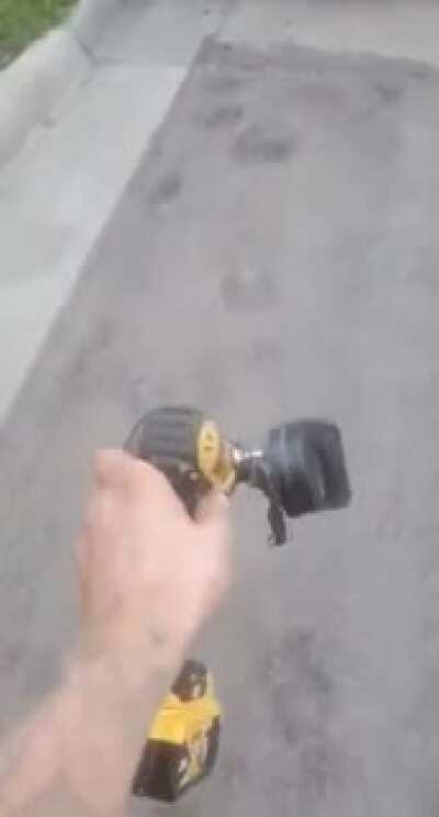 gotta get these damn squirrels out of my attic