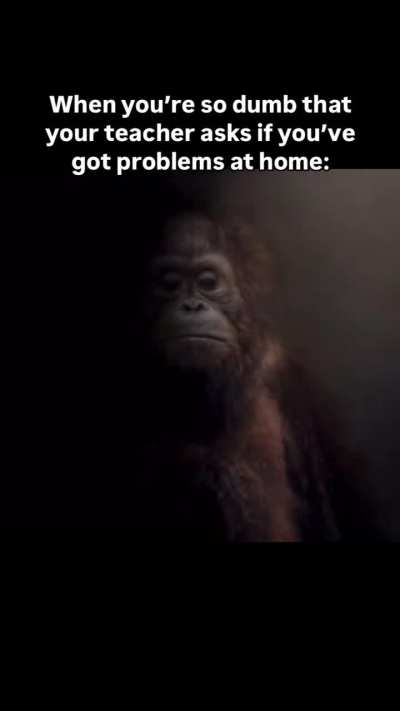 Ok that's literally me (back in highschool edition).