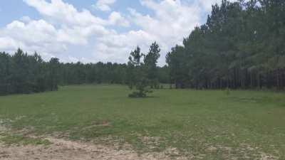 Feeling Frisky! 13 months old here