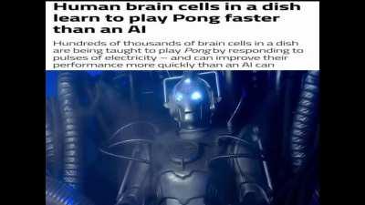 This is the age of pong.