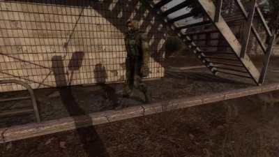 Beware this freedom member