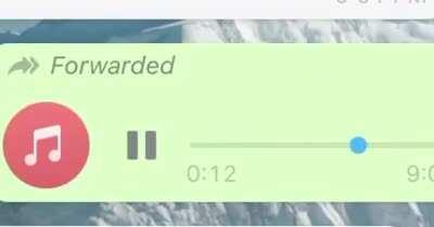 Macron commentary is legendary