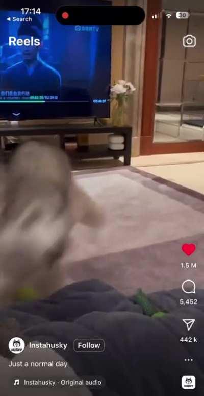 If you thought that an hour long walk would be enough…