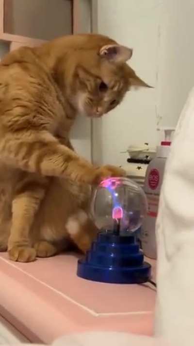 What da heck is dis?