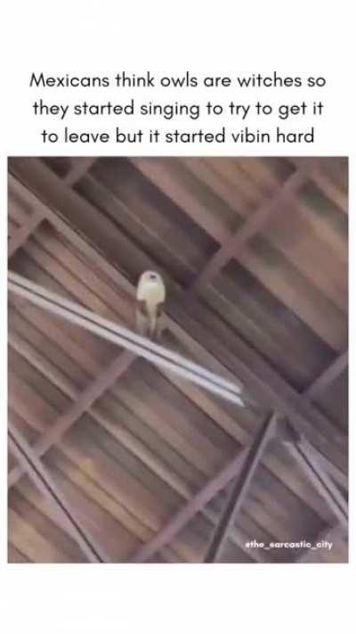 Government Drone Caught Spying