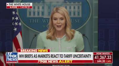 White House press secretary: Tariffs are a tax hike on foreign countries and a tax cut for the American people