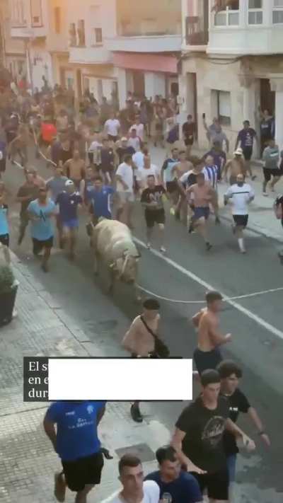Man kicked in head by bull after slapping its hindquarters during festival in Tarragona, Catalonia, Spain
