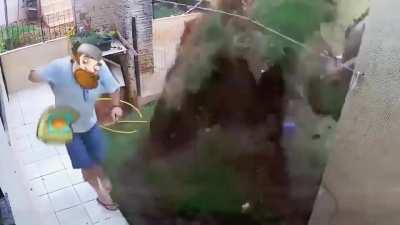 O que fazer se zumbis invadirem sua casa: