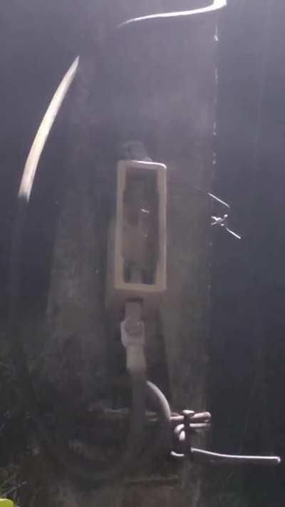 Ee video nnu ottum pazakkam varilla.