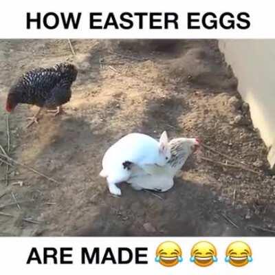 Thanks, I hate Easter Eggs