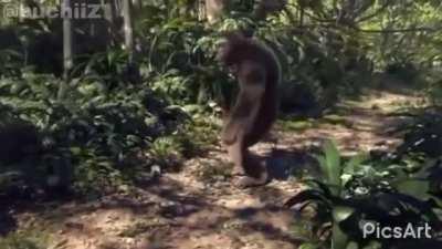 Yo y los panas cuando a orson le quitan el ban 😎👌