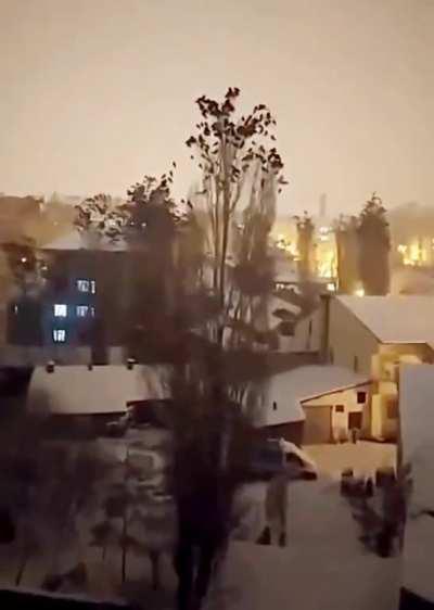 Can Birds Help Us Avoid Natural Disasters