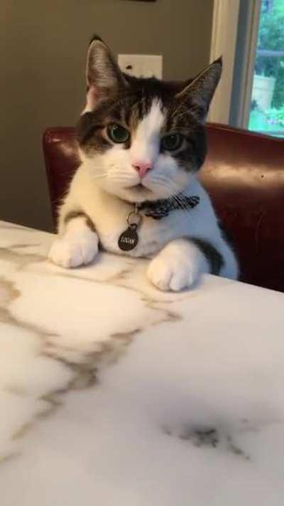 He sounds like an air horn when he’s hungry